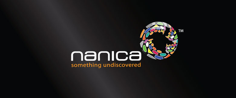 Nanica logo